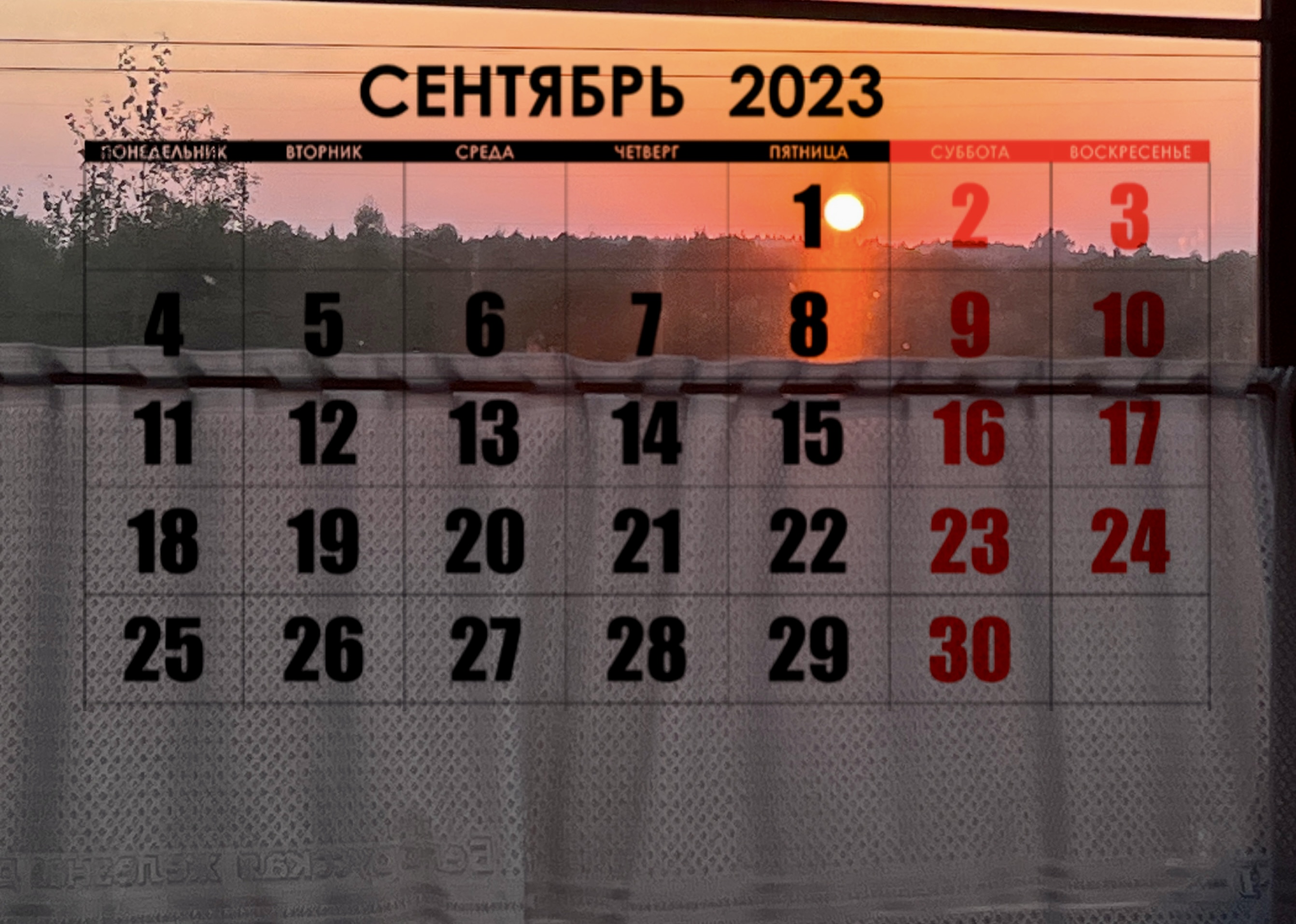 Что изменится в Беларуси с 1 сентября