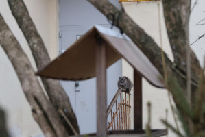 Переменная облачность и без осадков: прогноз погоды на 25 марта