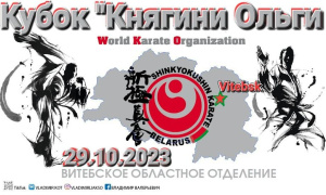 Больше 170 участников собрал открытый международный турнир по Шинкиокушин карате в Витебске