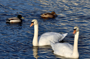 Без осадков, утром слабый туман: прогноз погоды на 22 марта