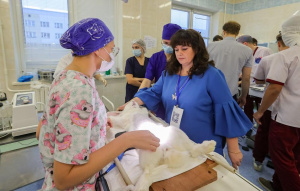 Команда ВГМУ победила в республиканской студенческой олимпиаде по трансплантологии