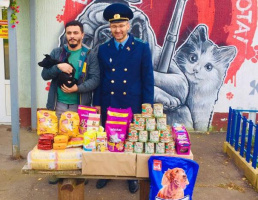 Сотрудники городской прокуратуры передали помощь приюту для бездомных животных