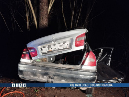 В Витебском районе в ДТП погиб водитель иномарки
