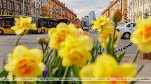 Пассажирооборот в Беларуси в январе-апреле увеличился на 8,8%