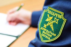 Особенности декларирования товаров, принадлежащих физическому лицу в возрасте до 16 лет