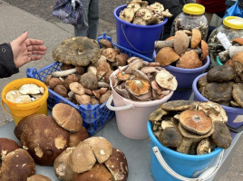 Царь грибов, одинокий патиссон и шарафуга: что почем на Смоленском рынке в Витебске