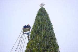 Новогодняя ёлка на площади Победы в Витебске засияет 15 декабря