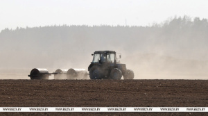 В Беларуси завершается сев кукурузы на зерно