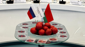 "В космос со своим помидором". Белорусские и российские школьники готовят эксперимент на орбите