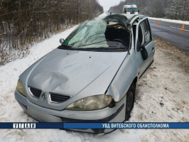 В Шумилинском районе автомобиль сбил лося на трассе — водитель госпитализирован
