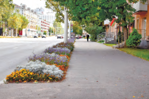 Хватает ли в Витебске скамеек, выяснял корреспондент «Витьбичей»