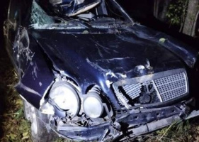 Машина столкнулась с лосем в Витебском районе: травмы получили водитель и ребенок-пассажир