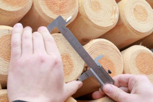 КГК проверил целевое использование деловой древесины, приобретаемой гражданами по льготной цене