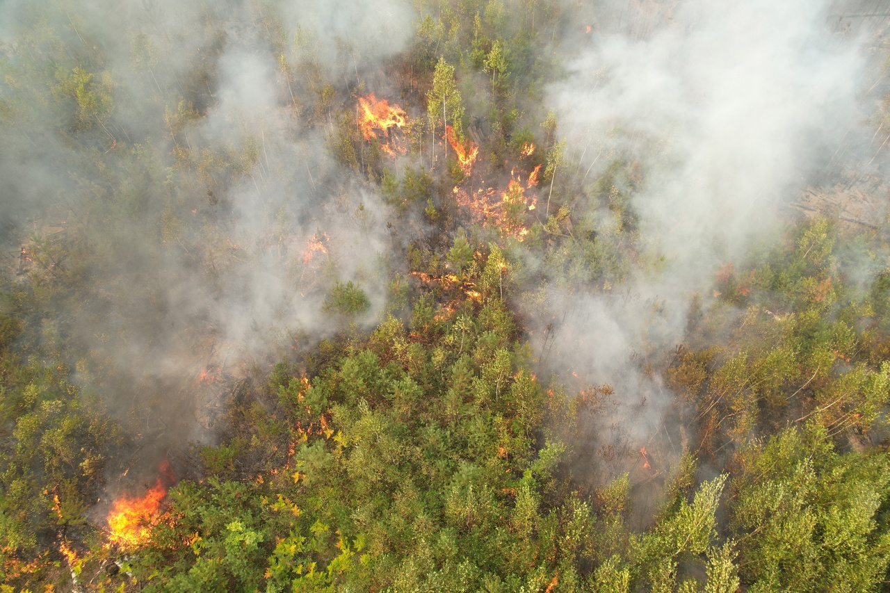 Пожароопасный период 2024 бурятия. Пожар леса. Природные пожары. Пожары в лесах. Лесные пожары в Сибири.