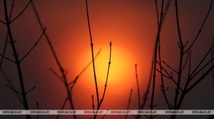 Земле предстоит пережить самую сильную геомагнитную бурю года