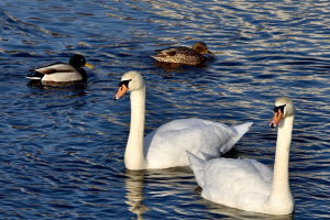 Тепло и без существенных осадков: прогноз погоды на 28 марта
