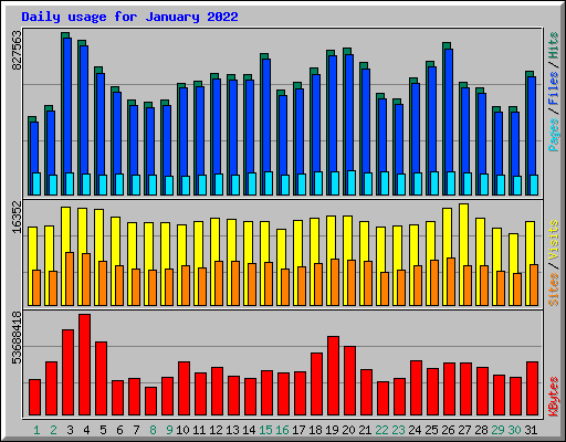Daily usage for January 2022