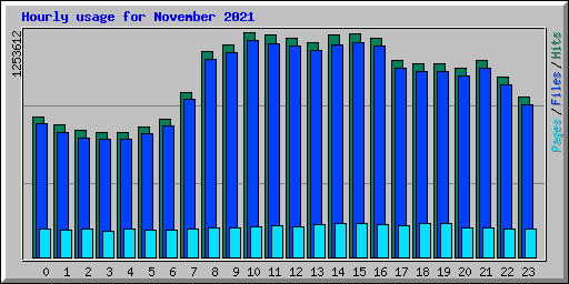 Hourly usage for November 2021