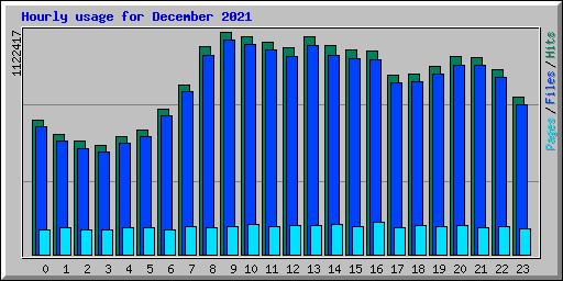 Hourly usage for December 2021