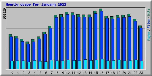 Hourly usage for January 2022