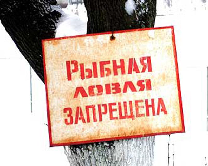 Запрет на ловлю рыбы в районе строительства Витебской ГЭС