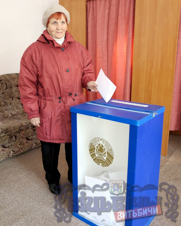 В Витебске продолжается досрочное голосование