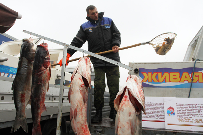 Ярмарка Рыба Беларуси