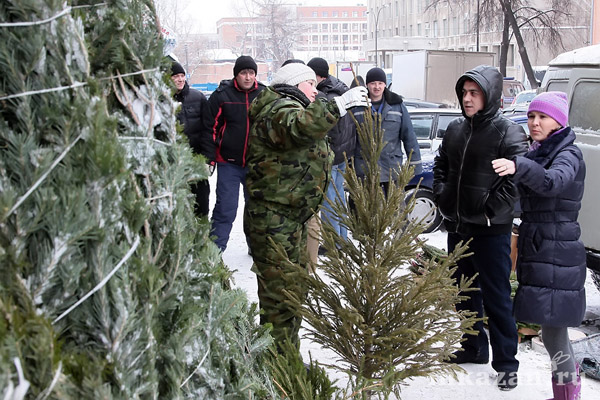 Елочные базары начинают работу в Витебске накануне католического Рождества